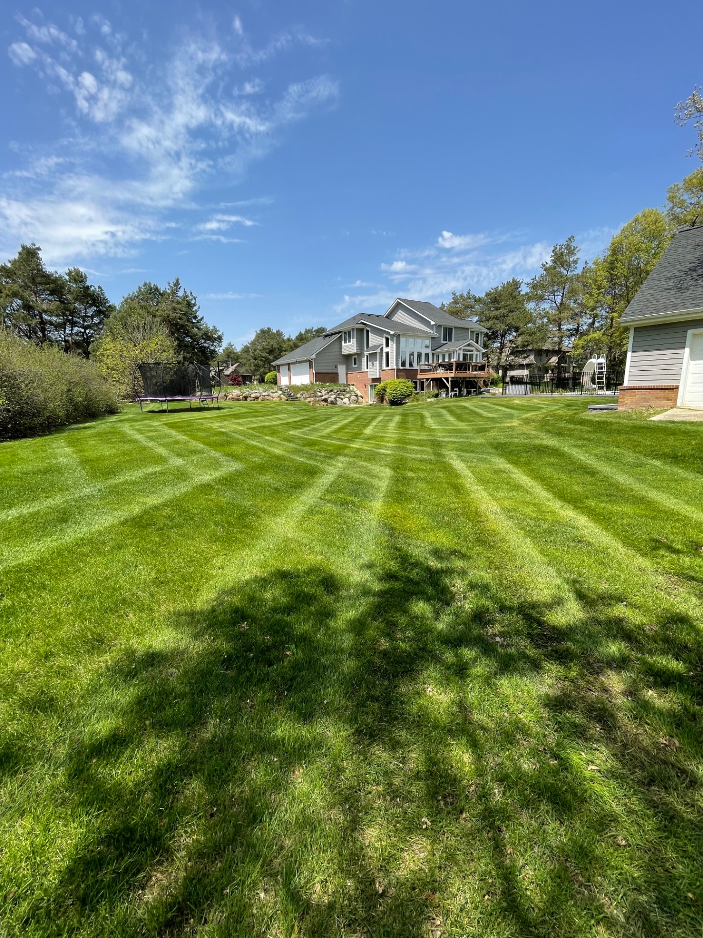 Bush & Shrub Trimming