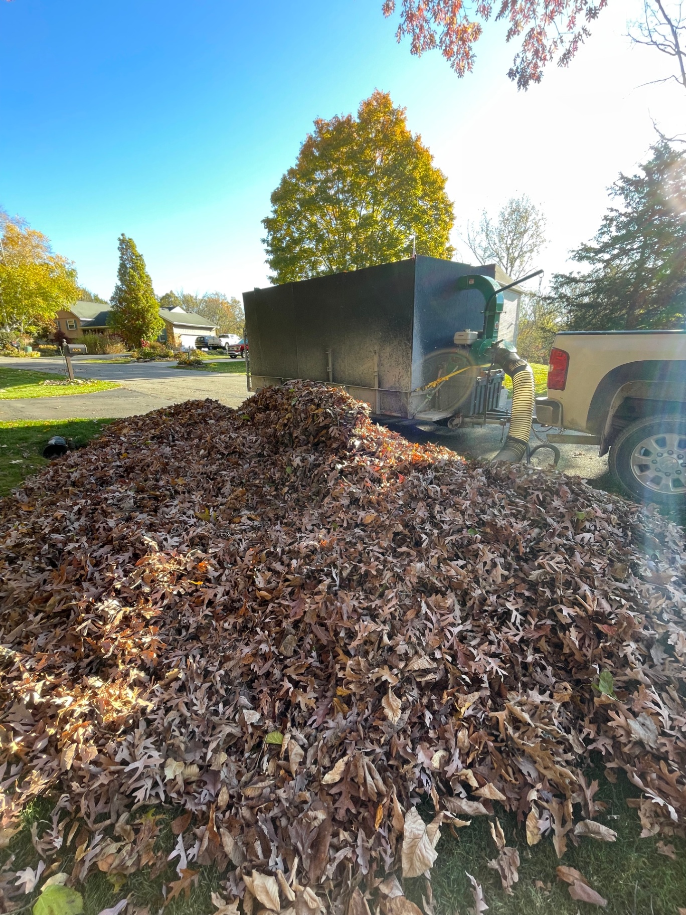 Spring & Fall Cleanups